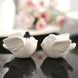 Bride And Groom Love Birds Salt And Pepper Shaker Party Favors, Wedding Favor In Pre-Packed Gift Box