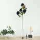 2 Bouquets | 33inch Tall Black Artificial Silk Rose Flower Bush Stems