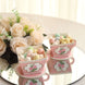 25 Pack Dusty Rose Mini Teacup and Saucer Party Favor Boxes with Rose Floral Print