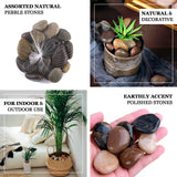 2 lbs Assorted Natural Polished Decorative Stones for Vases | Landscaping Rocks Aquarium Gravels