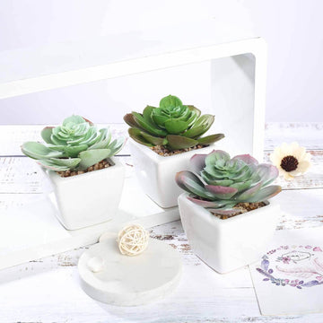 3-Pack Echeveria Artificial Succulents in Ceramic Pot - Lifelike Decorative Faux Plants for Home Office & Event Design 4"