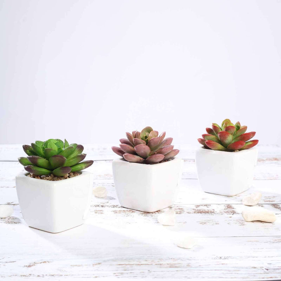 3 Pack | 3inches Ceramic Planter Pot & Artificial Echeveria Elegans Plants