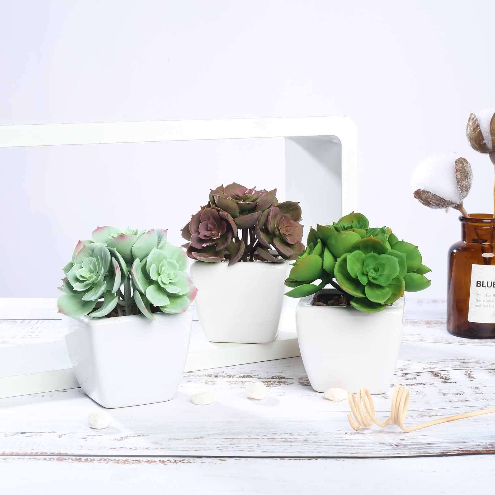 fake succulents potted Balsacircle 3 Green Assorted 5" Artificial Faux Succulent Echeveria Plants Off White Pots