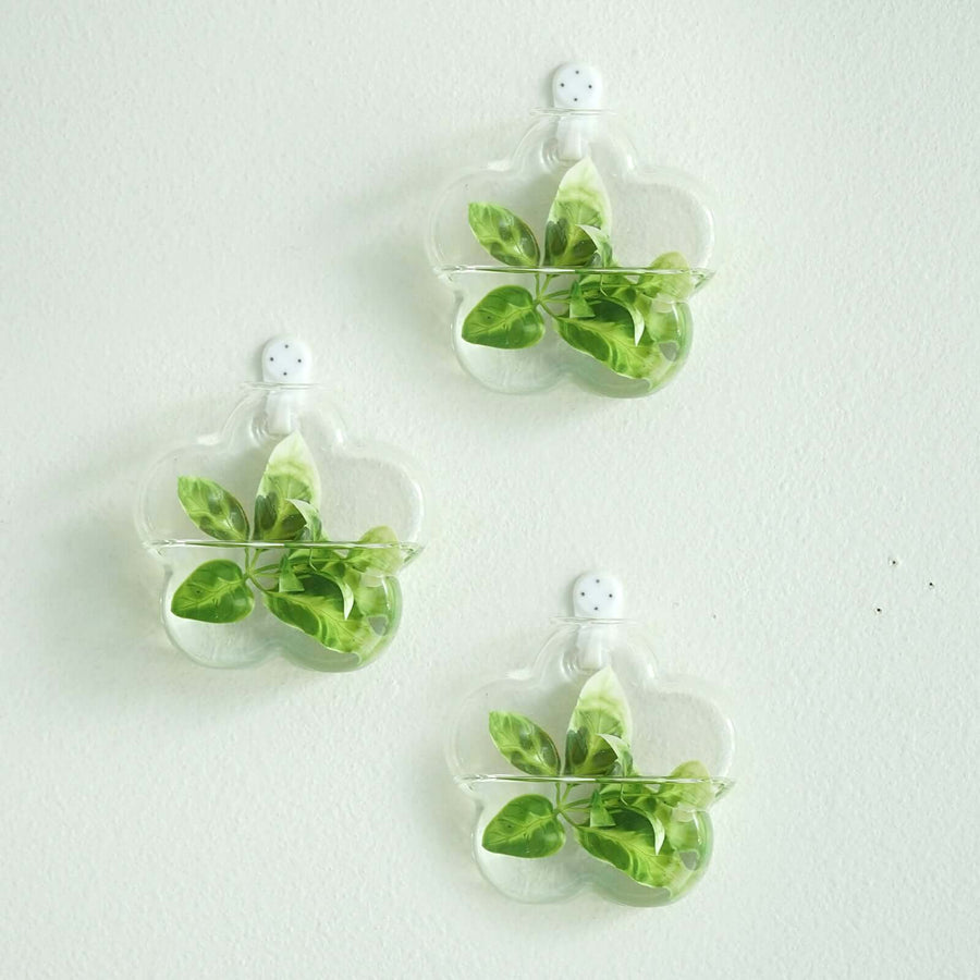 3 Pack | Flower Shaped Glass Wall Vase | Indoor Wall Mounted Planters | Hanging Terrariums