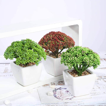 3-Pack Joy Sedum Artificial Succulents in Ceramic Pots - Lifelike Decorative Faux Plants for Home Office & Event Design 6"