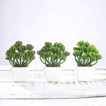 3-Pack Stonecrop Artificial Succulents in Ceramic Pots - Lifelike Decorative Faux Plants for Home Office & Event Design 7"