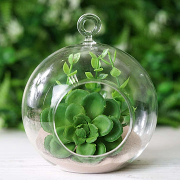 4-Pack Glass Terrarium Hanging Globe Design Free-Falling - Modern Planter for Air Plants & Displays 4"