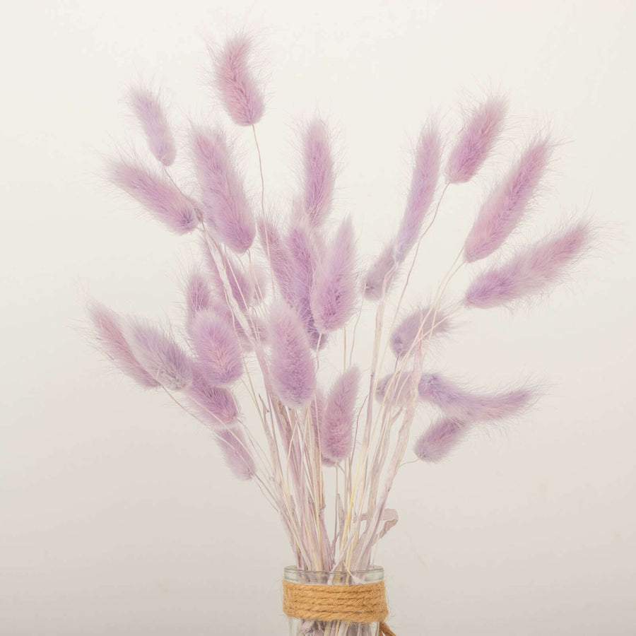 50 Pack | 15inch Lavender Lilac Rabbit Tail Dried Pampas Grass , Boho Flower Arrangement Sprays
