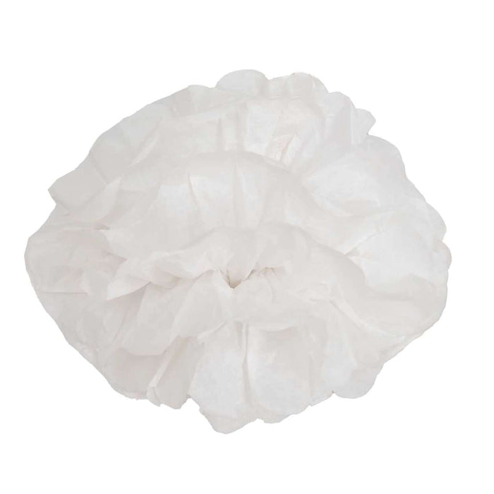 6 Pack 6inch White Tissue Paper Pom Poms Flower Balls, Ceiling Wall Hanging Decorations#whtbkgd