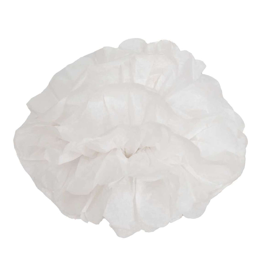 6 Pack 6inch White Tissue Paper Pom Poms Flower Balls, Ceiling Wall Hanging Decorations#whtbkgd