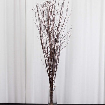 6-Pack Natural Birch Tree Branches 46" Natural - Versatile Extra Long Decorative Dried Willow Twigs Sticks for Vase Centerpiece Wedding Decor