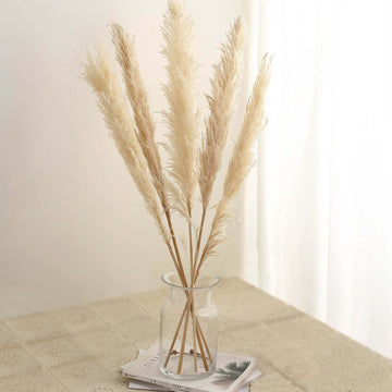 6 Stems Natural Dried Pampas Grass Decor Wheat Tint - Tall Plant Sprays for Boho Chic Vase Displays Backdrops & Event Styling 49"