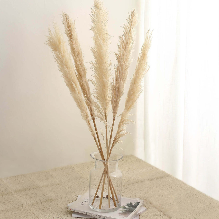 6 Stems | 49inch Wheat Tint Dried Natural Pampas Grass Plant Sprays