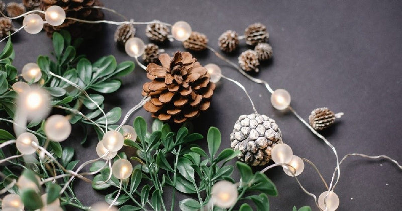 Incorporate solar-powered lights into your decor.
