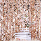 8ftx8ft Blush/Rose Gold Big Payette Sequin Photography Booth Backdrop