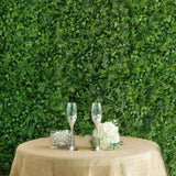 11 Sq ft. | Green Boxwood Hedge Locust and Cypress Garden Wall Backdrop Mat