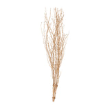 6 Pack Metallic Gold Extra Long Willow Tree Branches#whtbkgd