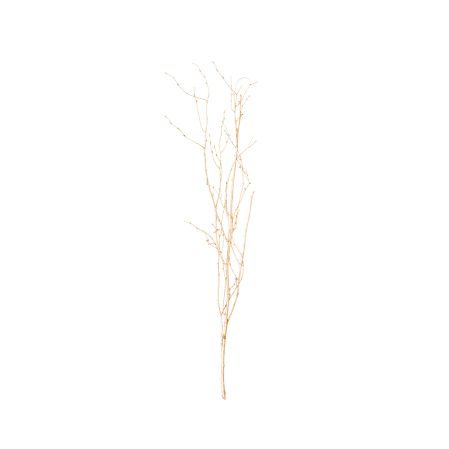 6 Pack Metallic Gold Extra Long Willow Tree Branches