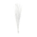 6 Pack White Extra Long Willow Tree Branches#whtbkgd