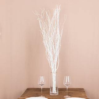 <strong>Decorative Artificial White Birch Tree Branches</strong>