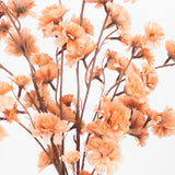 2 Branches 42inch Tall Terracotta (Rust) Artificial Silk Carnation Flower Stems#whtbkgd