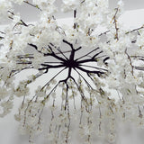 White cherry blossom tree with cascading flowers on dark branches, viewed from below