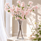 Pink cherry blossom branches in a clear glass vase by a sunlit window