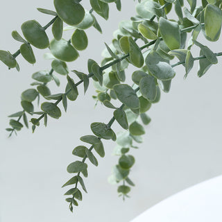 Create a Serene and Fresh Atmosphere with Artificial Eucalyptus Branches