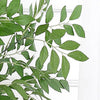 2 Bushes | 42inch Tall Light Green Artificial Silk Beech Leaf Branches, Faux Stem Fillers#whtbkgd