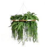 Large Faux Greenery Hoop Chandelier – 24inch Gold Ring 42inch Draping Fern for Boho#whtbkgd