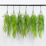 Hanging green fern plants in a row on a black rod against a white background