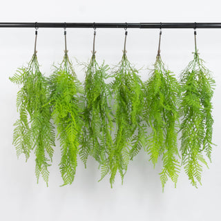 Hanging green fern plants in a row on a black rod against a white background
