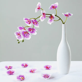 Versatile and Beautiful Orchid Decorations for Every Occasion