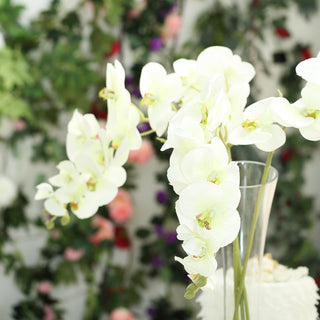 Cream Silk Orchid Bouquets: The Perfect Decorative Accent