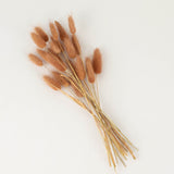50 Pack | 15inch Brown Rabbit Tail Dried Pampas Grass Stem, Boho Flower Arrangement Sprays