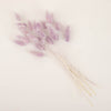 50 Pack | 15inch Lavender Lilac Rabbit Tail Dried Pampas , Boho Flower Arrangement Sprays