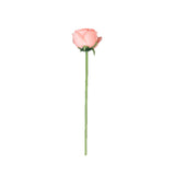 Pink rose flower on a long stem against a white background #whtbkgd