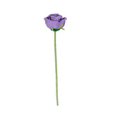 Purple rose flower with a long stem on a white background #whtbkgd