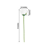 White rose flower with measurements: 12 inches tall, 2.5 inches wide, 2 inches deep.