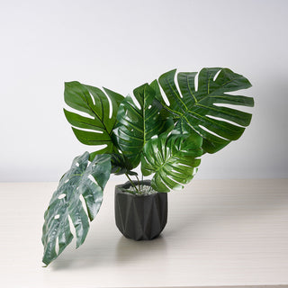 Create a Tropical Paradise with our Assorted Green Artificial Silk Tropical Monstera Leaf Plants