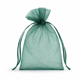Green organza gift bag with drawstring closure #whtbkgd
