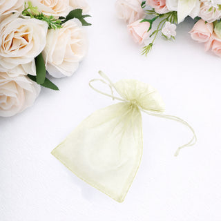 Sheer green organza gift bag with drawstring closure