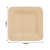10 Pack | 9inches Eco Friendly Bamboo Square Disposable Dinner Plates