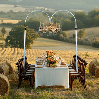 <span style="background-color:transparent;color:#1d1f25;">Sophisticated Design Meets Practicality: The Ideal Event Arch</span>