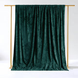 Emerald green velvet backdrop on a gold frame