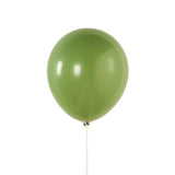 50 Pack Matte Pastel Dusty Sage Green Biodegradable Balloons 12inch, Round Eco-friendly#whtbkgd