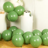 50 Pack Matte Pastel Dusty Sage Green Biodegradable Balloons 12inch, Round Eco-friendly