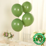 50 Pack Matte Pastel Dusty Sage Green Biodegradable Balloons 12inch, Round Eco-friendly