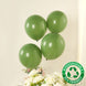 50 Pack Matte Pastel Dusty Sage Green Biodegradable Balloons 12inch, Round Eco-friendly