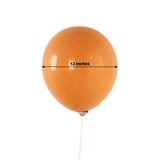 50 Pack Matte Pastel Caramel Biodegradable Balloons 12inch, Round Eco-friendly